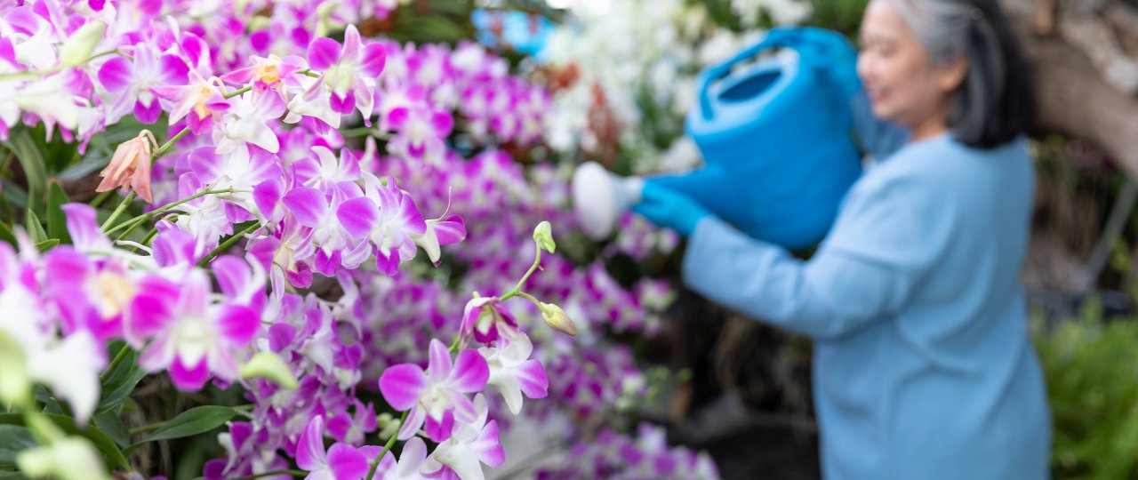 MM2Hルールが変わる