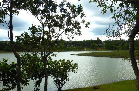 putrajaya_wetland