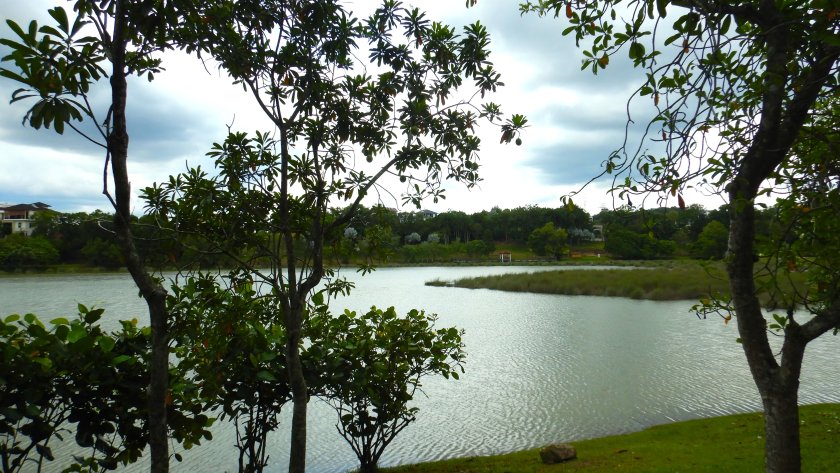 putrajaya_wetland