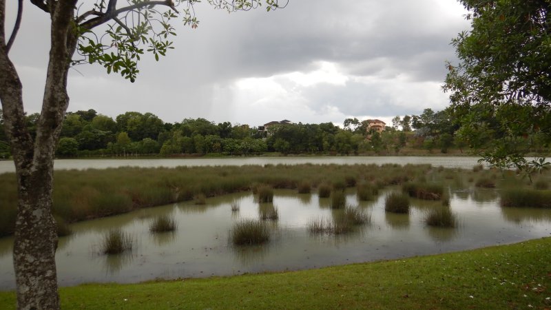 putrajaya_wetland